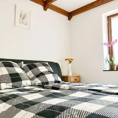 Near Exhibition Messe, Nice Comfortable With Garden Villa