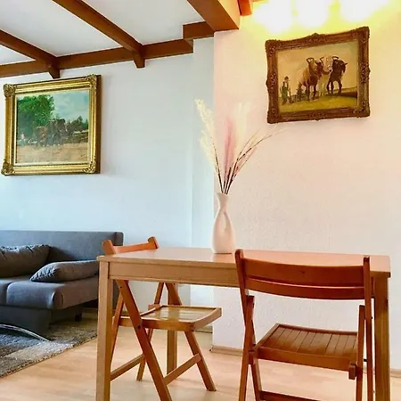 וילה Near Exhibition Messe, Nice Comfortable With Garden דיסלדורף